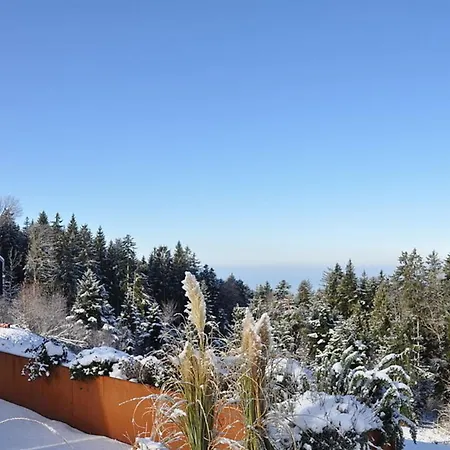 Apartmán Reichart